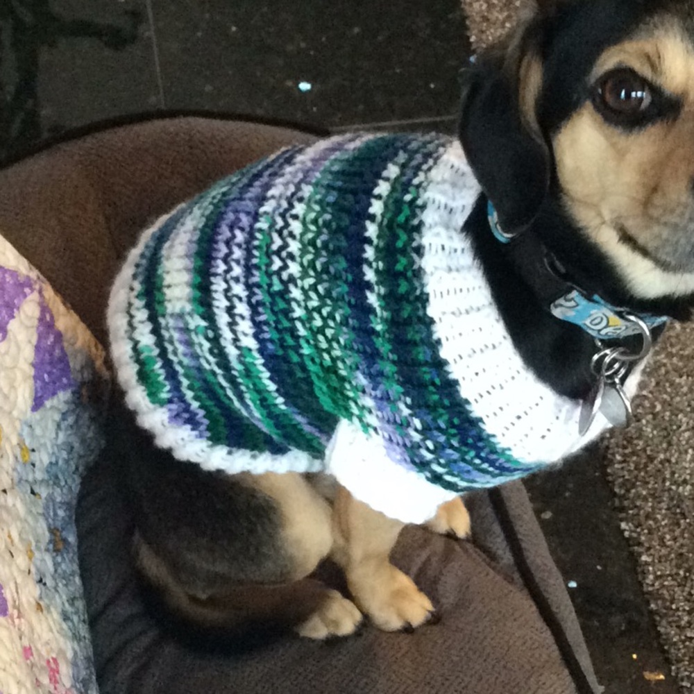 Boutique: Hand knit dog sweater